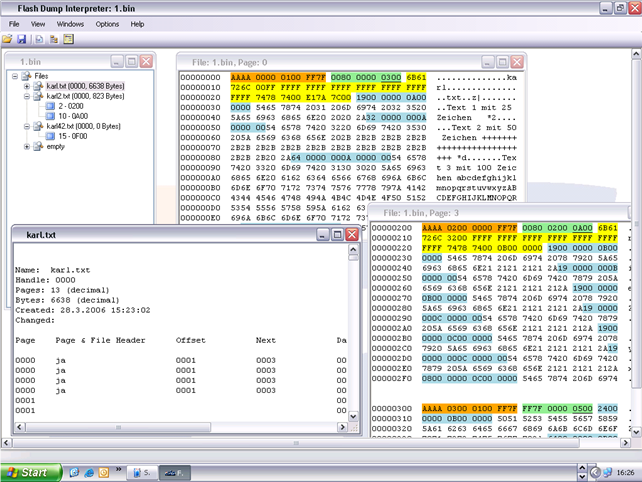 Flash Dump Interpreter